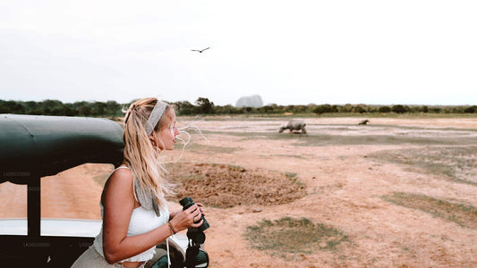 Delt safari i Kaudulla Nationalpark