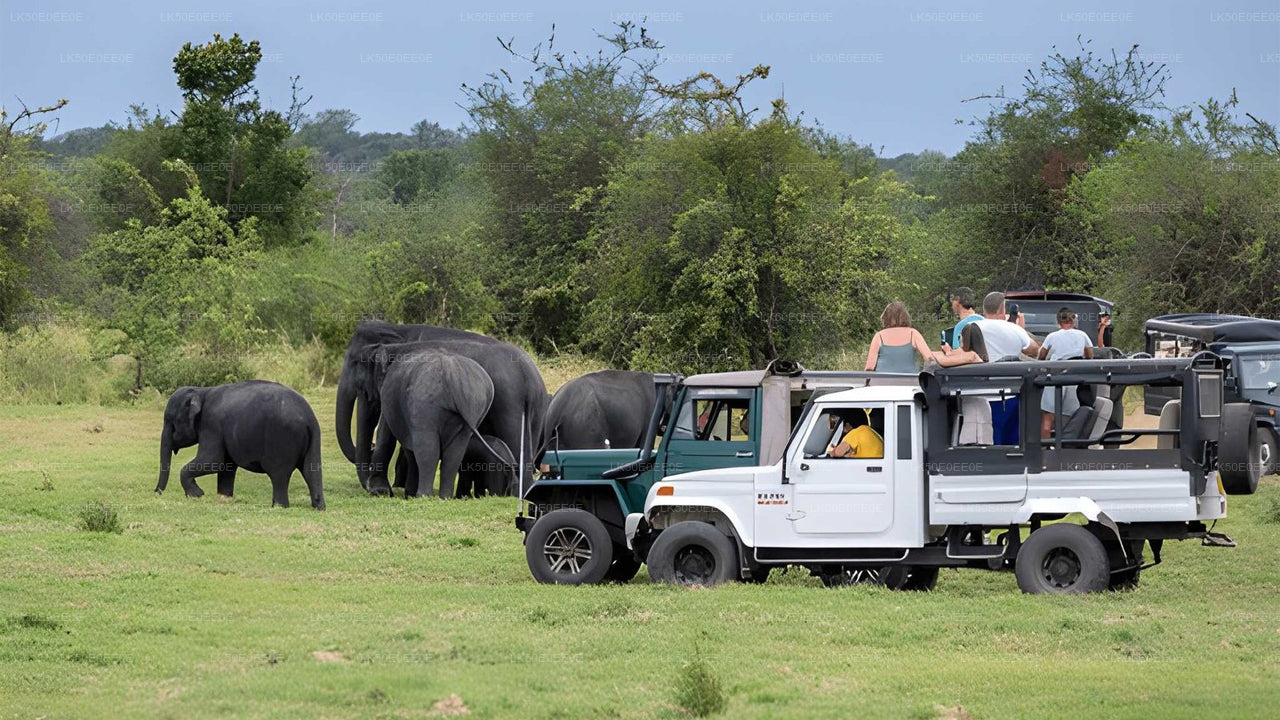 Hurulu Eco Park Privat Safari