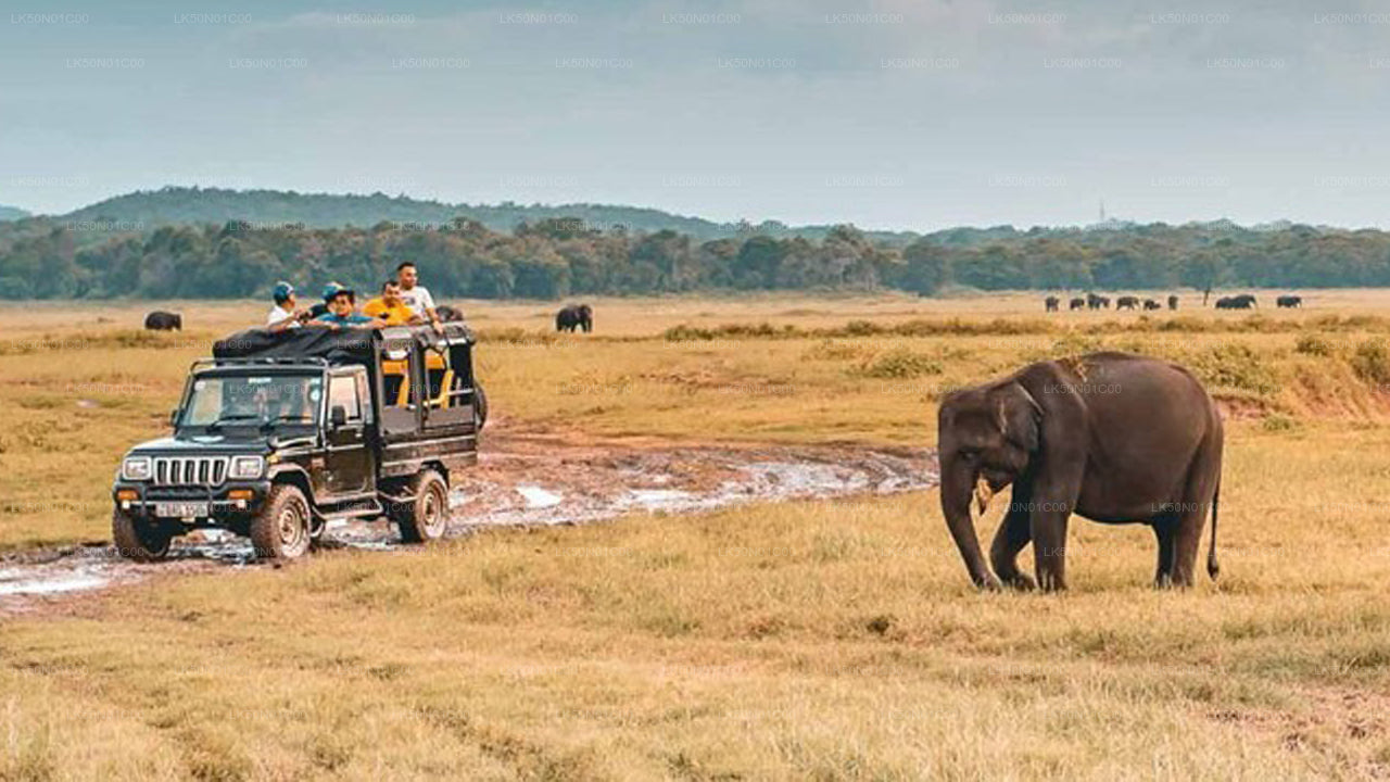 Maduru Oya National Park Privat Safari med Naturforsker