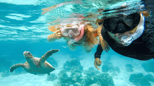 Snorkling med havskildpadder fra Unawatuna
