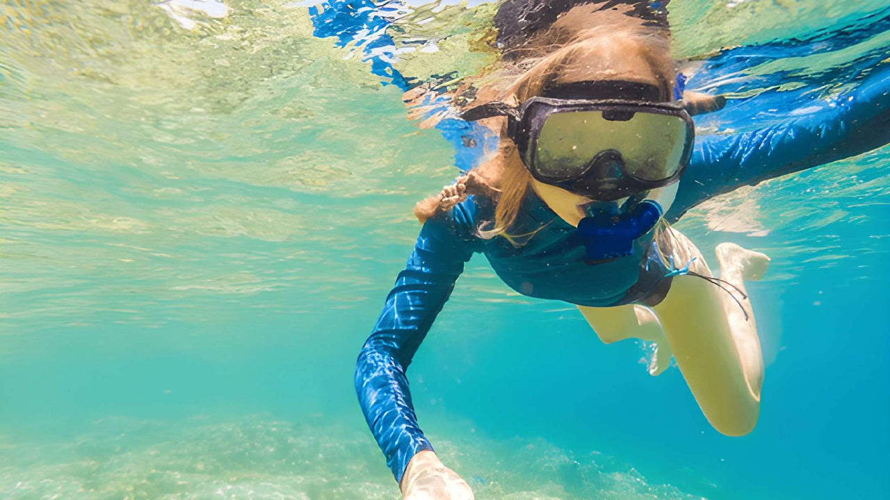 Snorkling med havskildpadder fra Bentota
