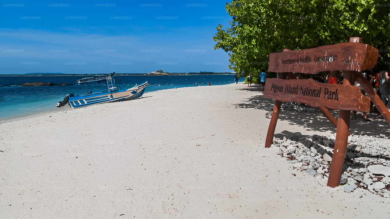 Snorkeling at Pigeon Island from Trincomalee