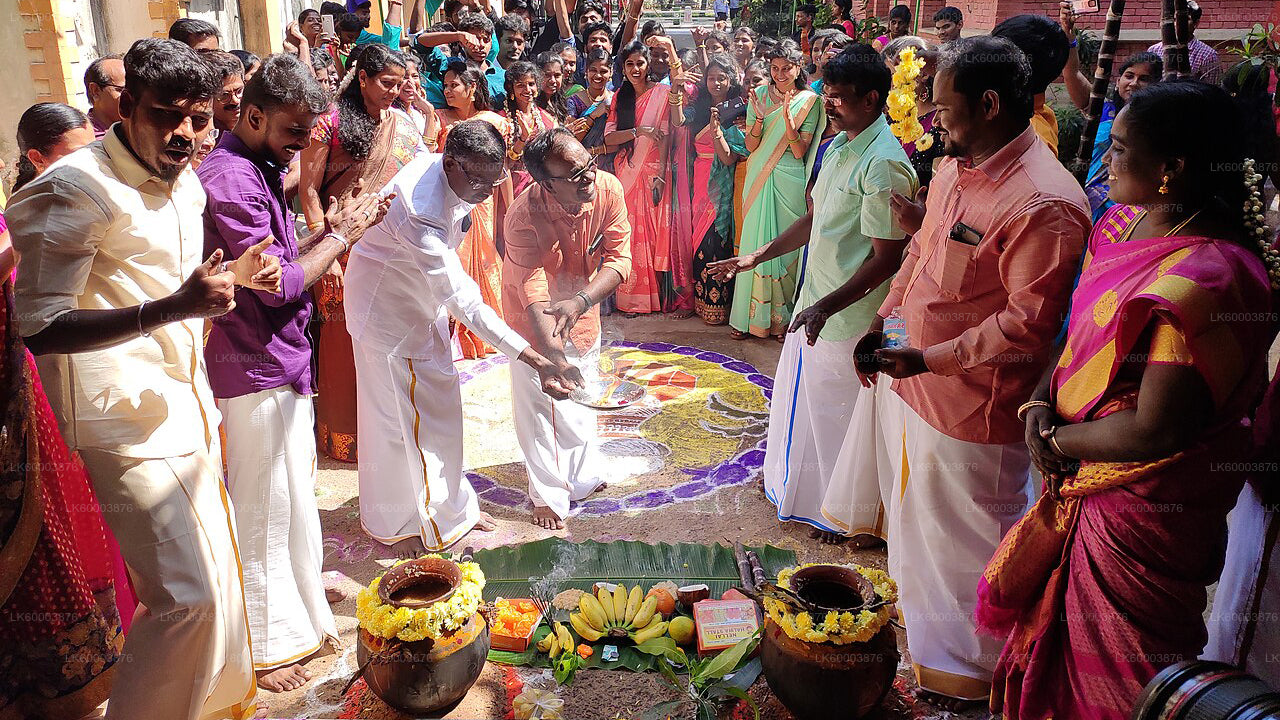 Kandapola tamilsk kulturoplevelse fra Nuwara Eliya