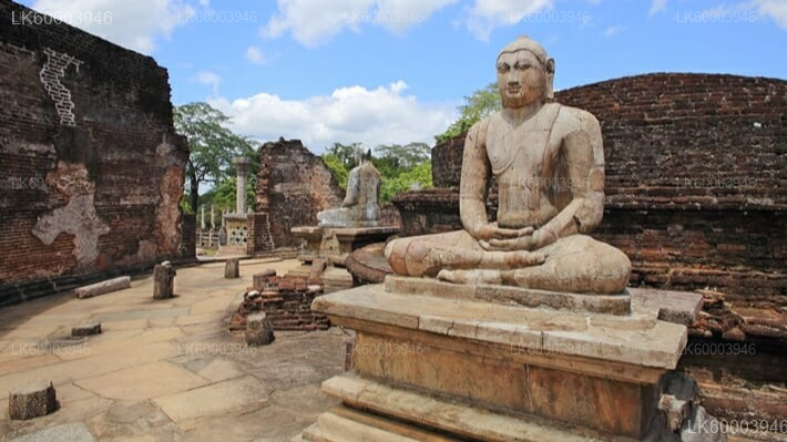 Private Transfer: Sigiriya to Kandy with Polonnaruwa Ancient City Tour