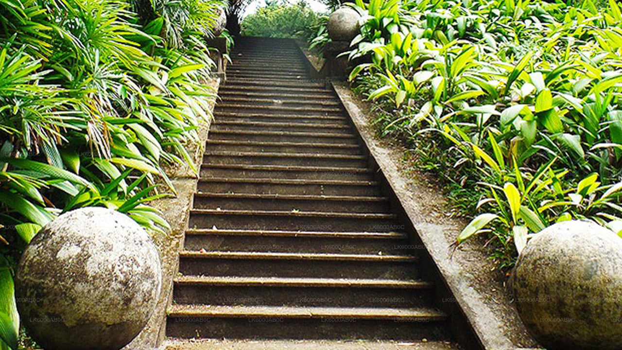 Bentota City Tour og Galle fra Beruwala