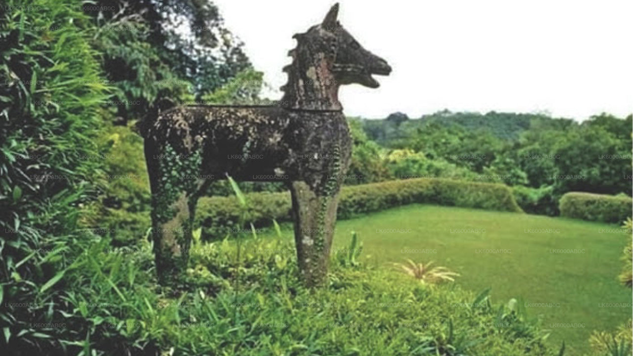 Bentota City Tour og Galle fra Beruwala