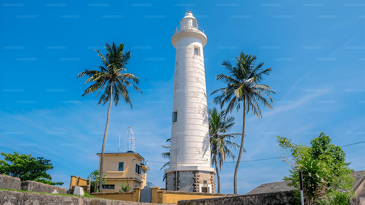 Bentota City tour and Galle from Kosgoda