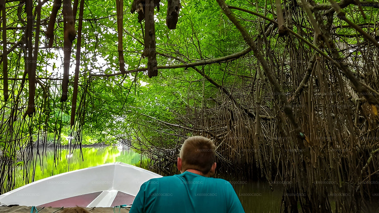 Bentota City tour and Galle from Kosgoda