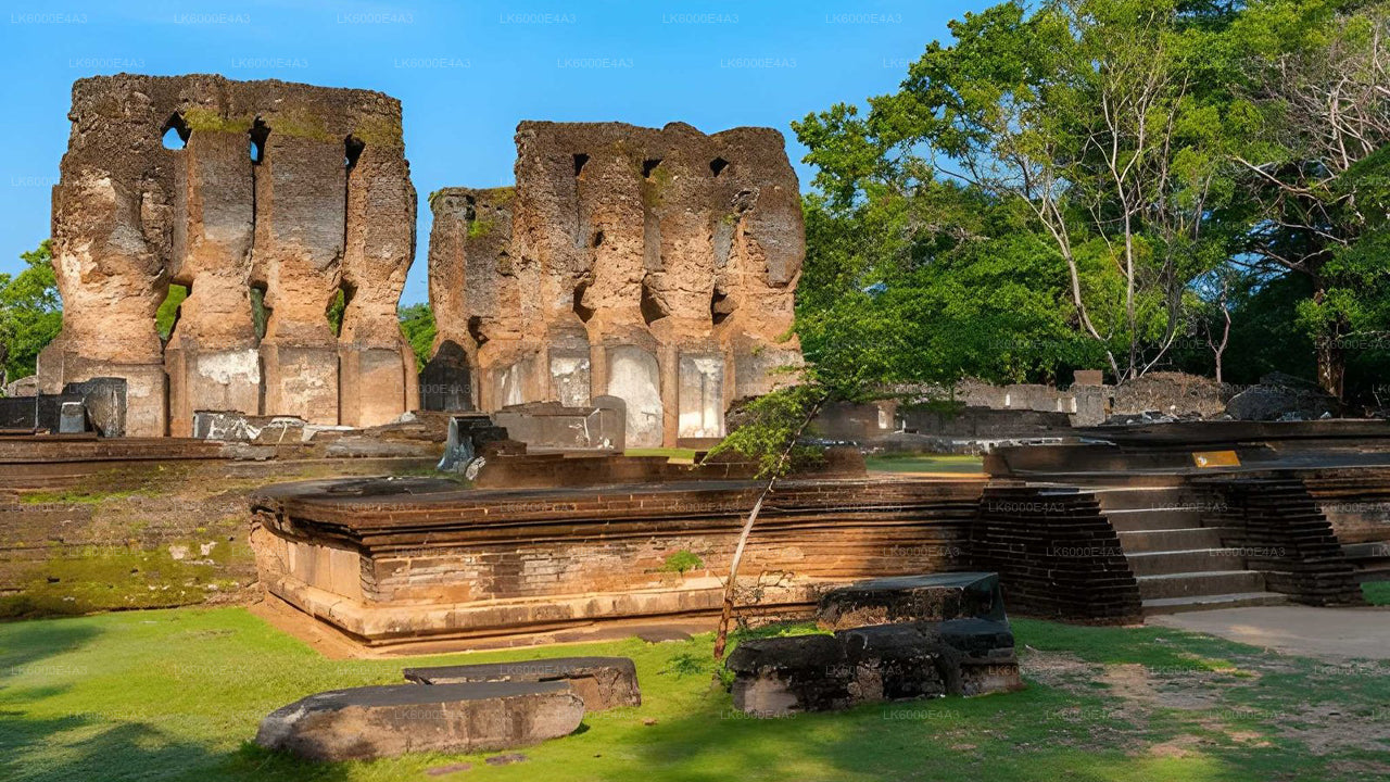 Polonnaruwa Heritage og Hurulu Eco Park Safari fra Pasikuda
