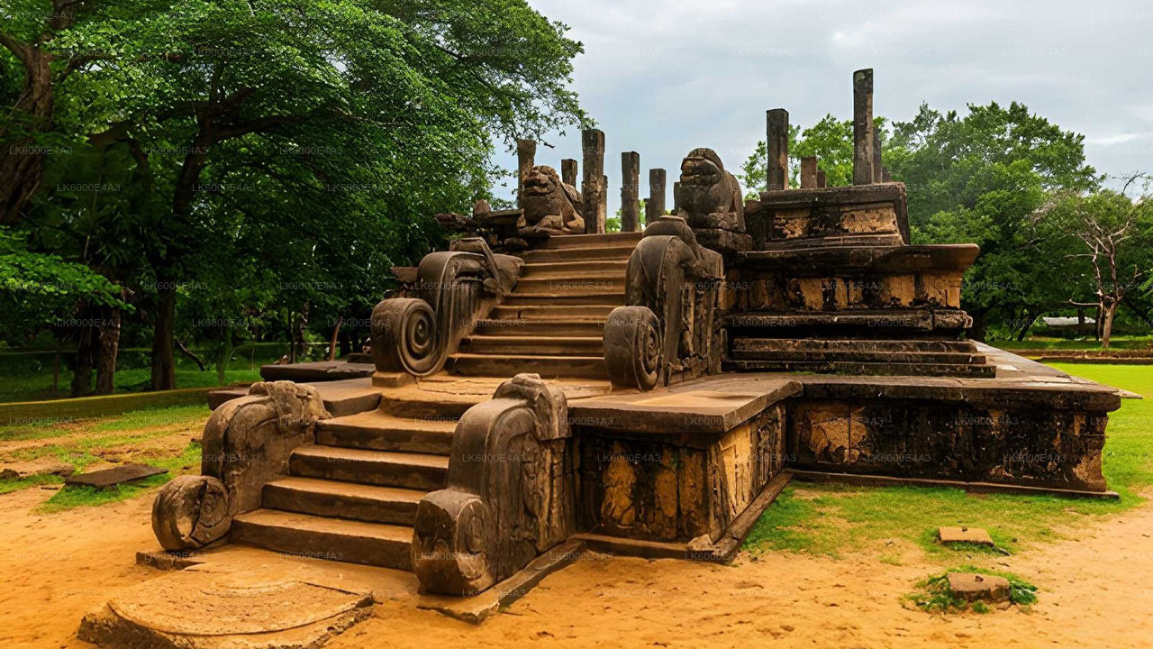 Polonnaruwa Heritage og Hurulu Eco Park Safari fra Pasikuda