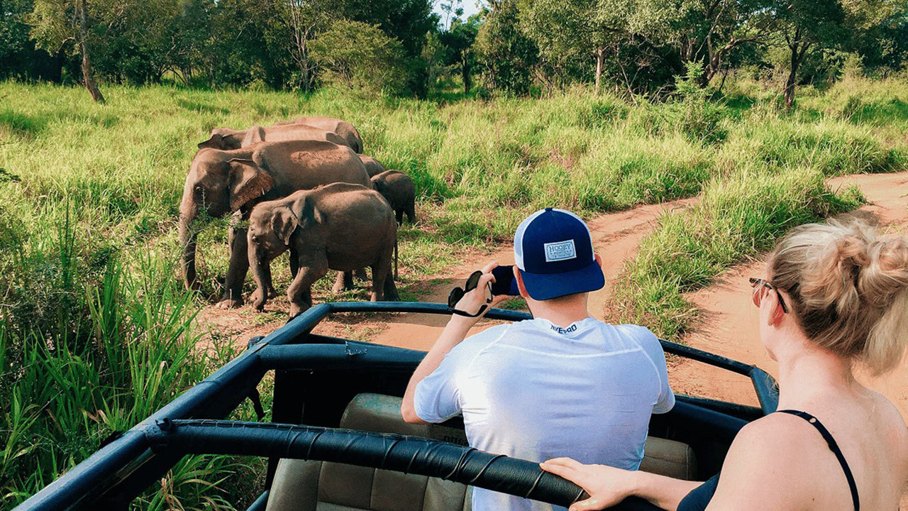 Polonnaruwa Heritage og Hurulu Eco Park Safari fra Pasikuda