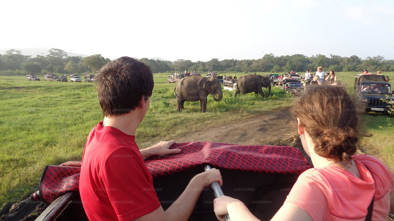 Polonnaruwa and Minneriya from Kandy