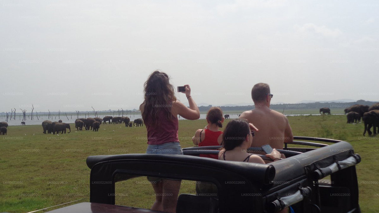 Polonnaruwa and Minneriya from Kandy