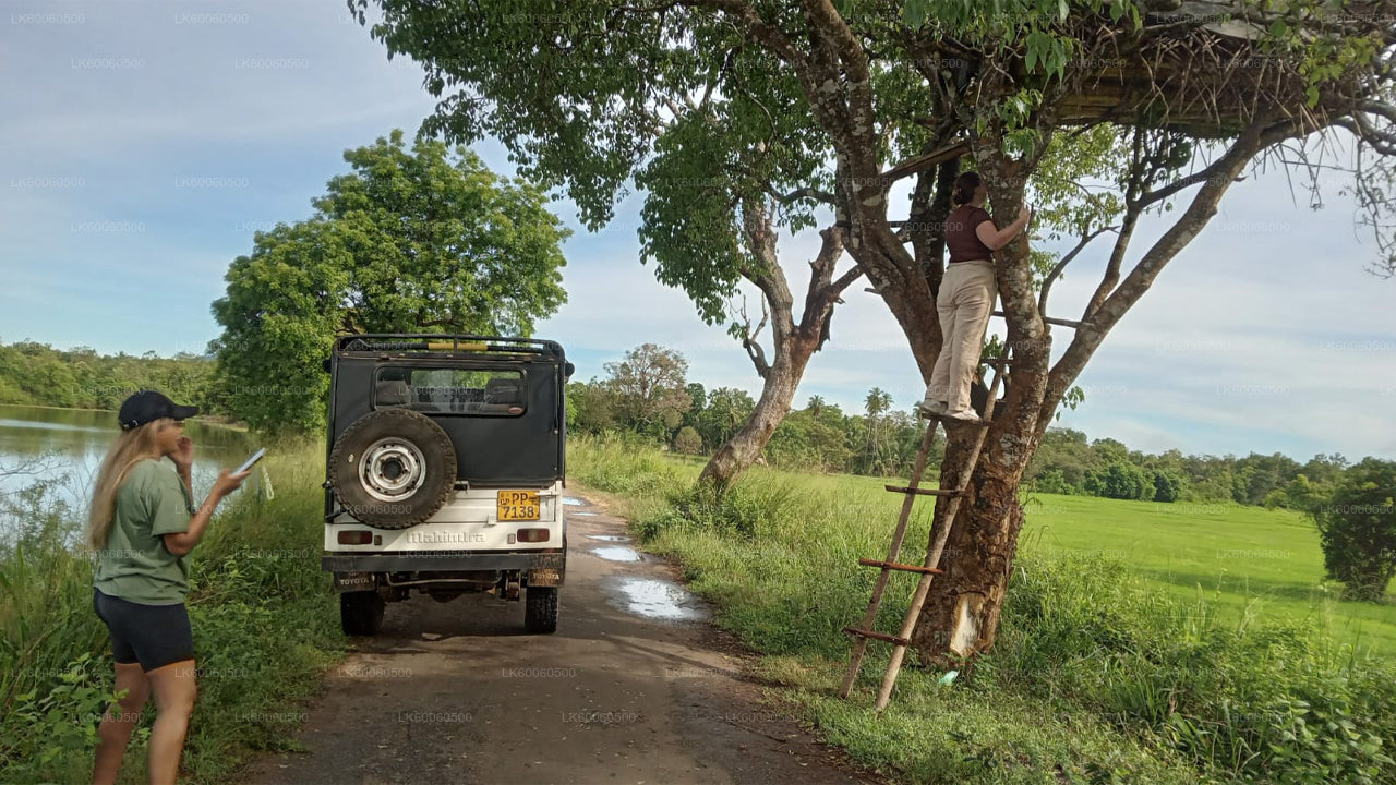 Hiriwadunna Village Tour fra Habarana