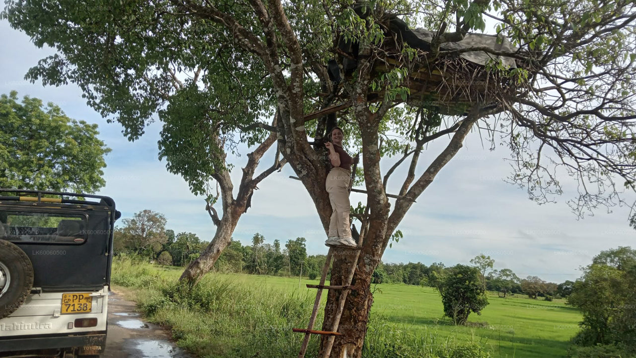 Hiriwadunna Village Tour fra Habarana