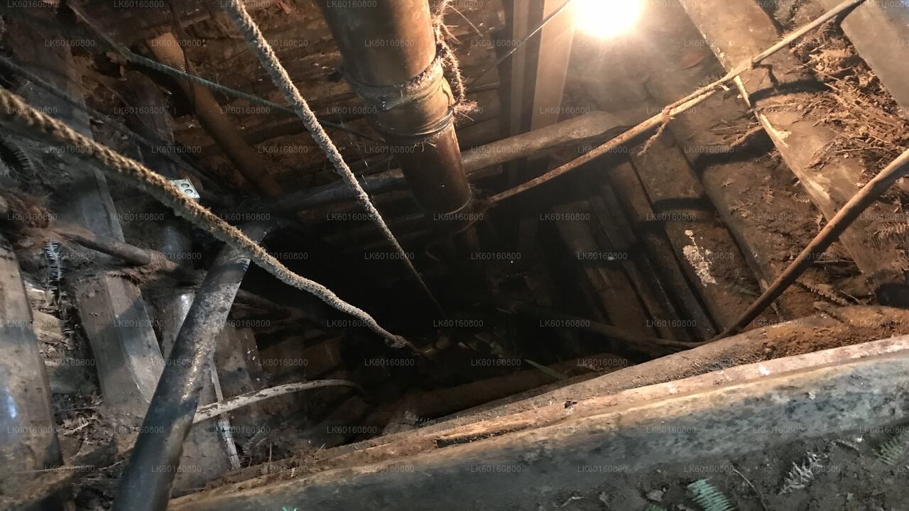 Udforsk ædelstensminerne i Rathnapura fra Wadduwa