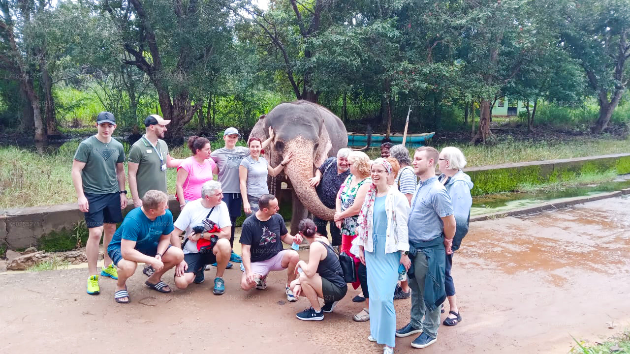Habarana Elephant Back Ride Tour from Dambulla