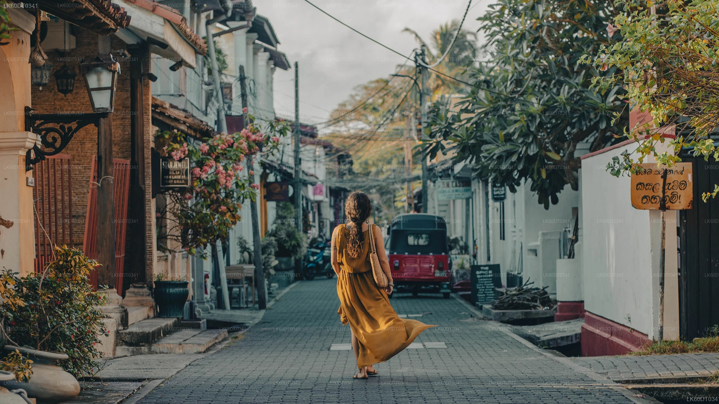 Coastal Transfer from Mirissa to Colombo with Sightseeing Stops