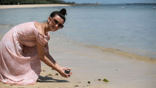 Udgivelse af babyskildpadde fra Kosgoda