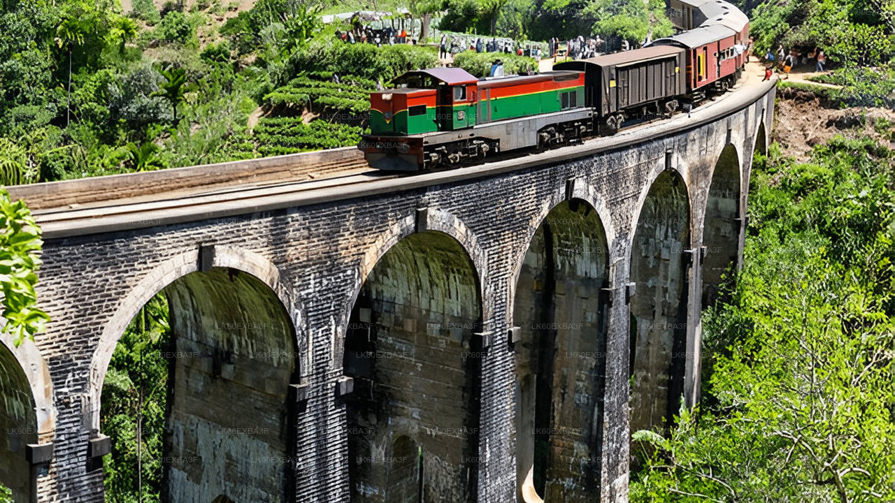 Train crossing a stone viaduct surrounded by greenery