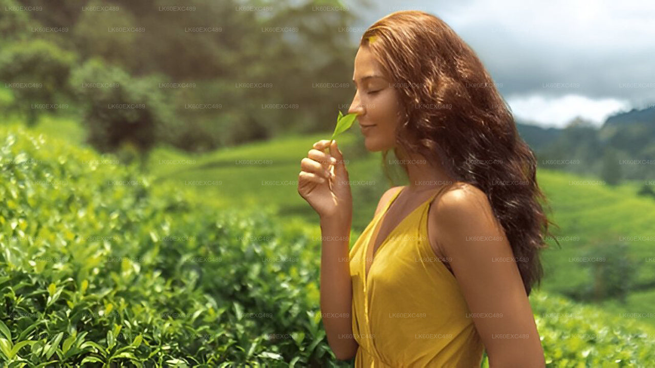 Low-grown Tea Factory Visit and Tea Tasting Experience From Galle