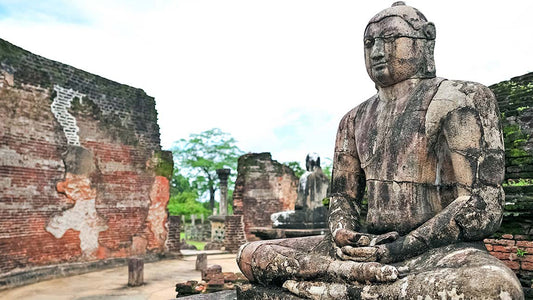 Sigiriya til Pasikudah Privat overførsel med Polonnaruwa Ancient City Tour