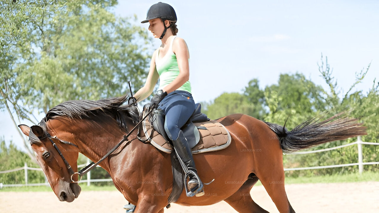 Ridning fra Dambulla