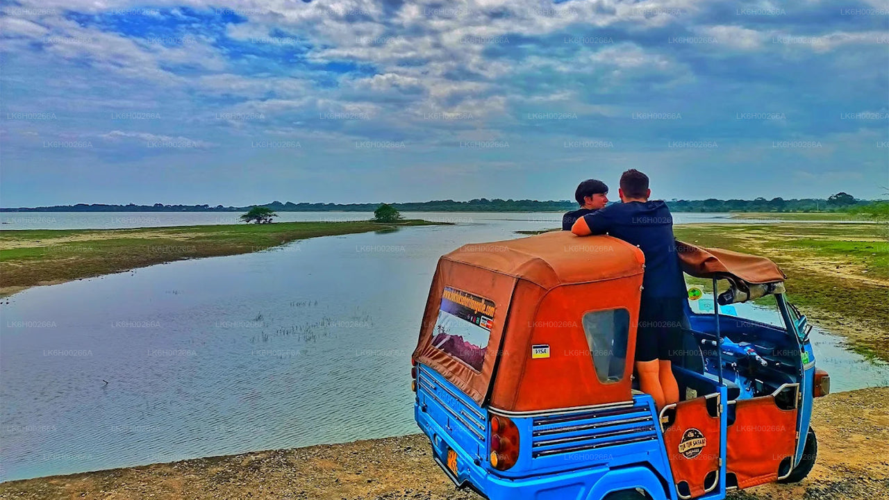 Sydkystens Tuk Tuk Safari fra Galle