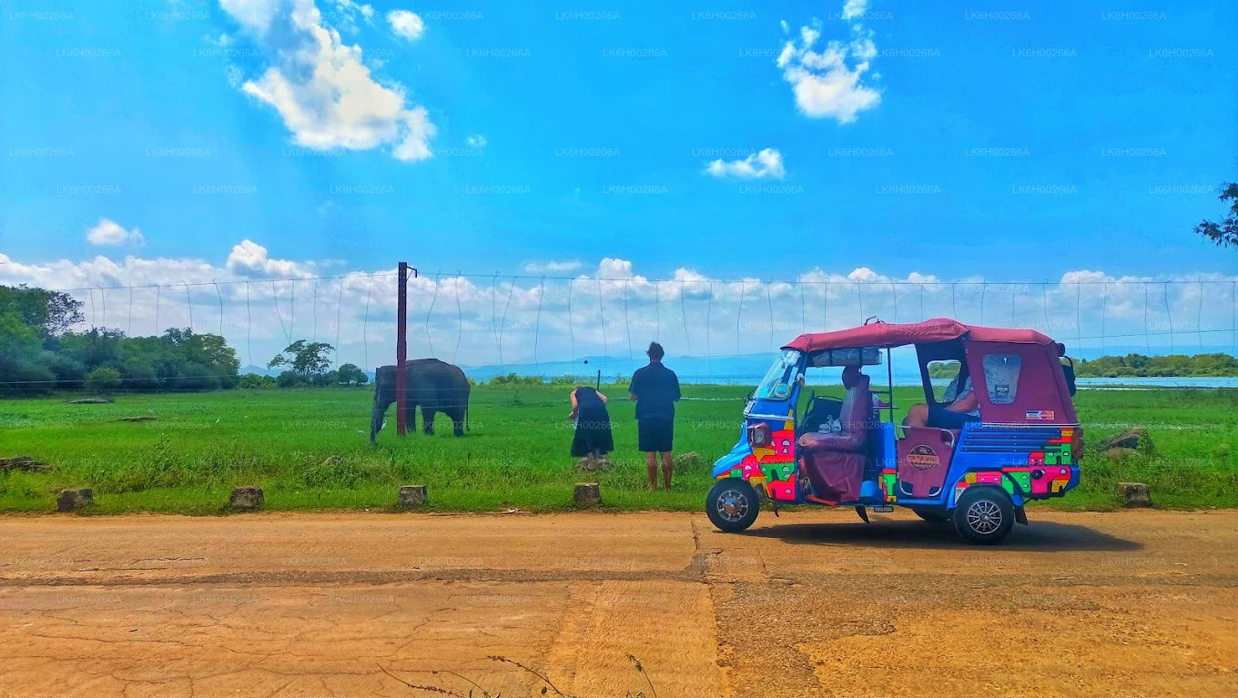 Sydkystens Tuk Tuk Safari fra Galle
