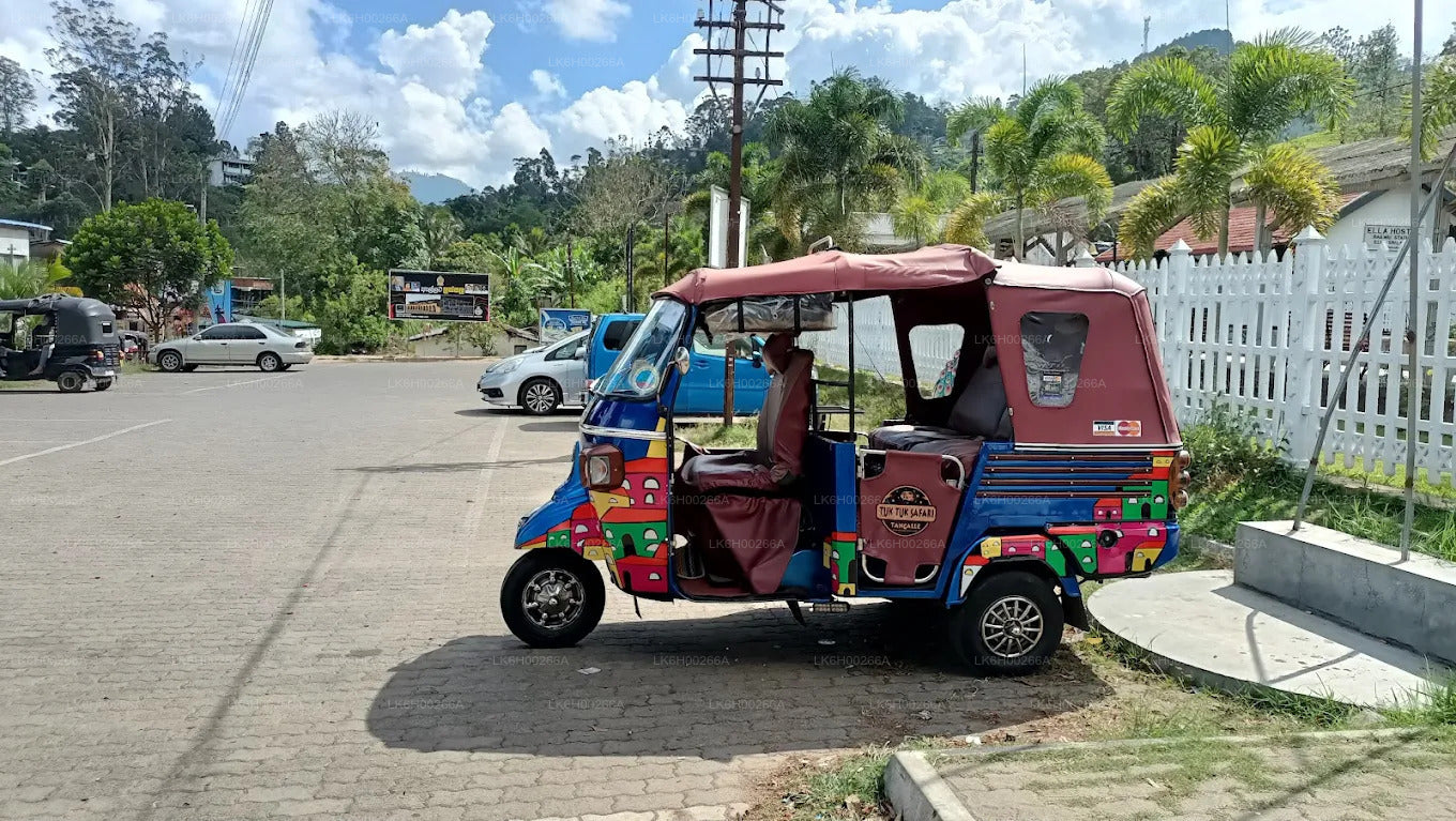 Sydkystens Tuk Tuk Safari fra Galle
