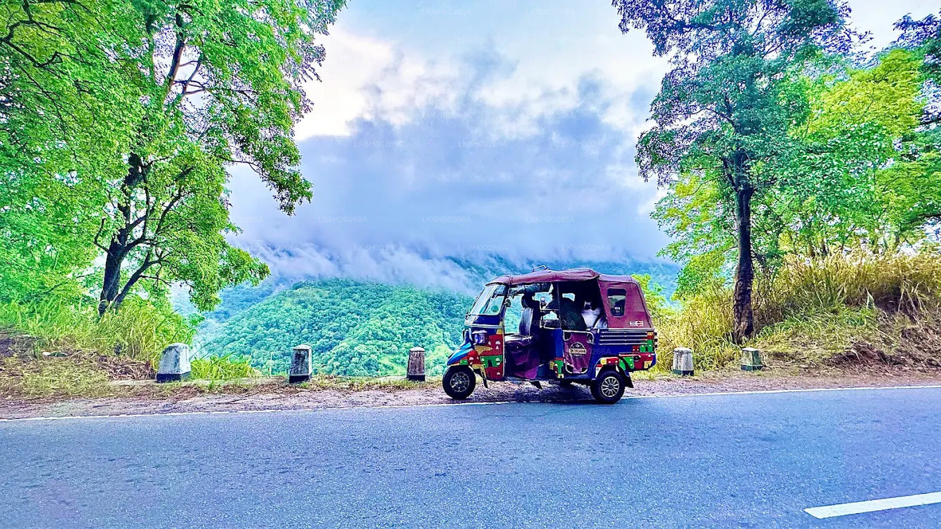 Sydkystens Tuk Tuk Safari fra Galle