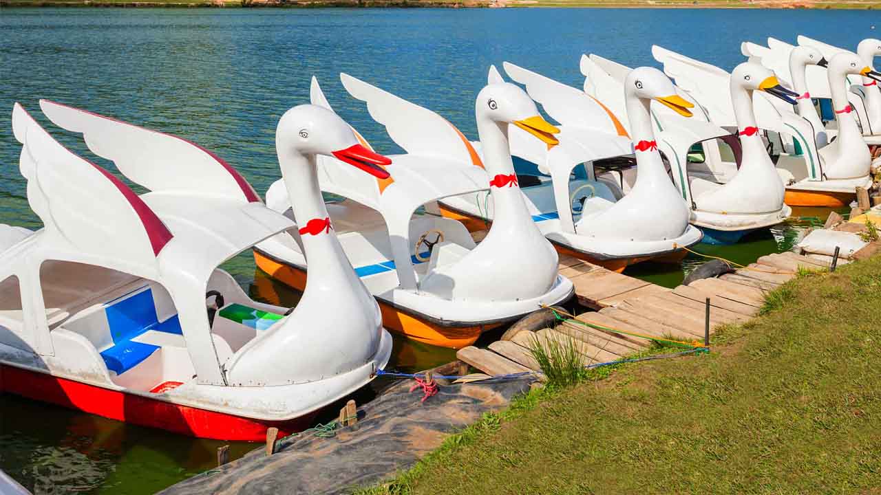 Billetter til Gregory Lake