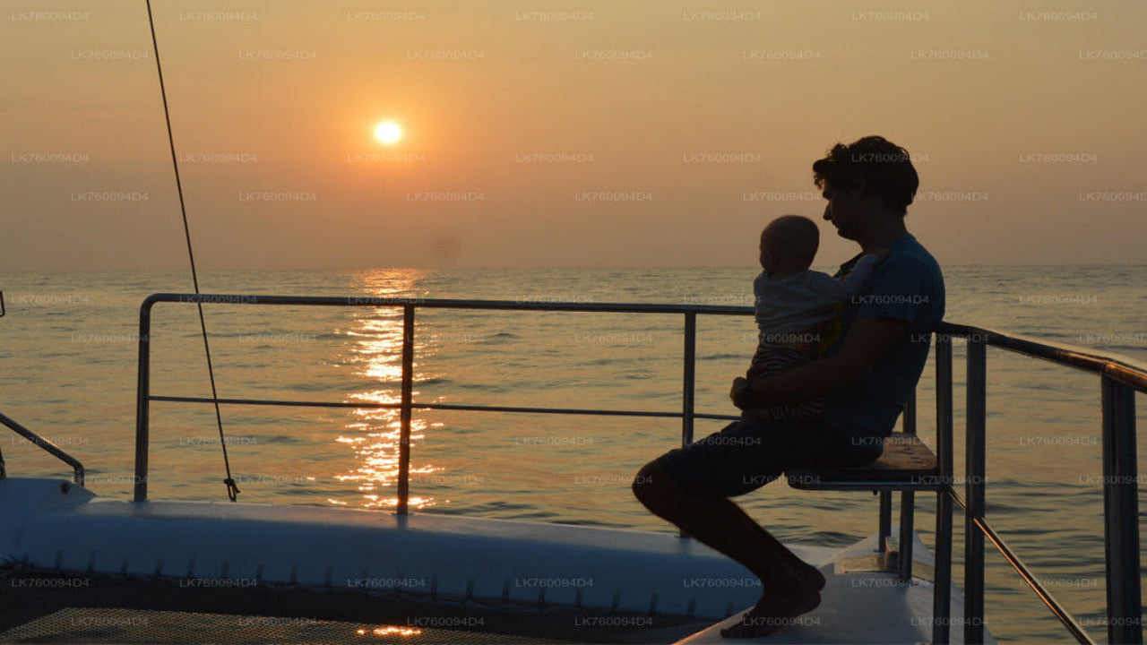 2-timers sejltur fra Mirissa