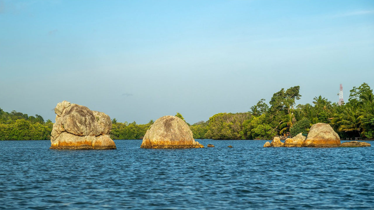 Koggala Lake Boat Safari