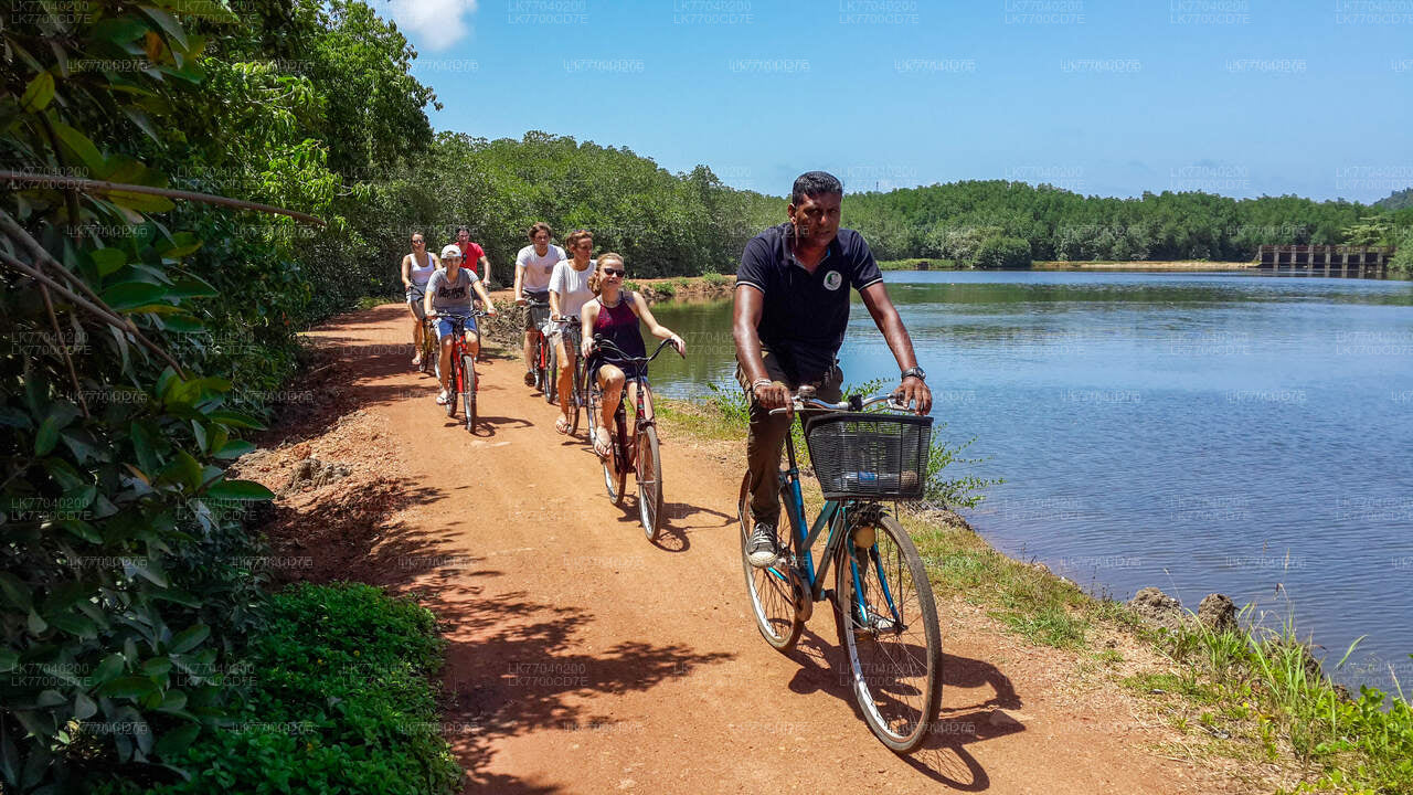 Morning Sporting Cycling Tour From Galle