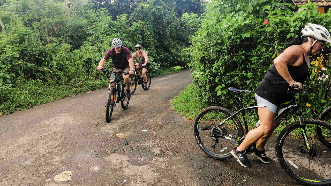 Cycling in Galle Countryside