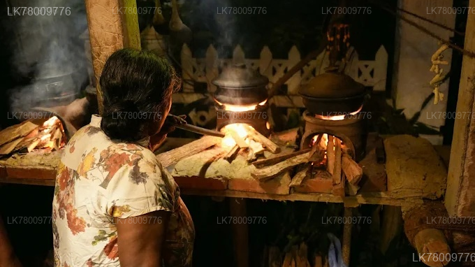 Sri Lankan Cooking Class with Dinner in Ahangama