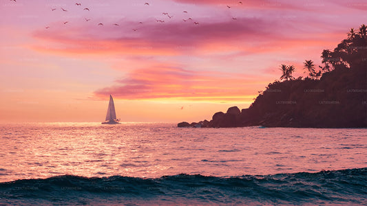 3-timers delt solnedgangskrydstogt fra Galle