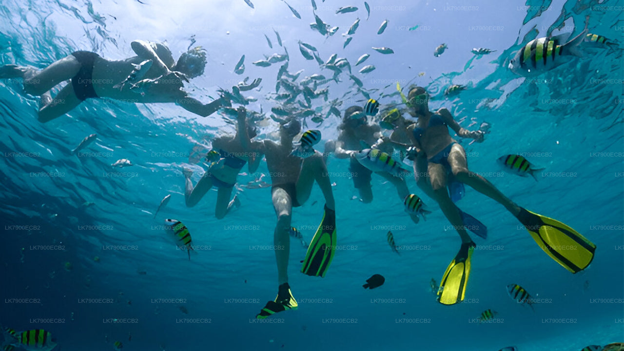 2-nætters krydstogtoplevelse fra Mirissa på Ocean Diamond