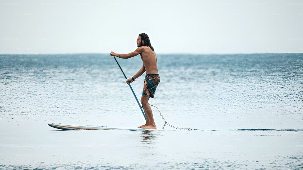 2-nætters krydstogtoplevelse fra Mirissa på Ocean Diamond