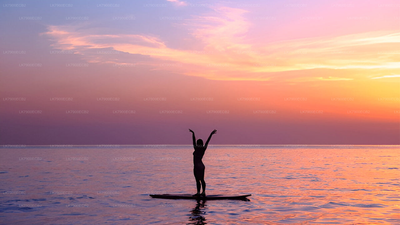 6-nætters krydstogtoplevelse fra Mirissa på Ocean Diamond