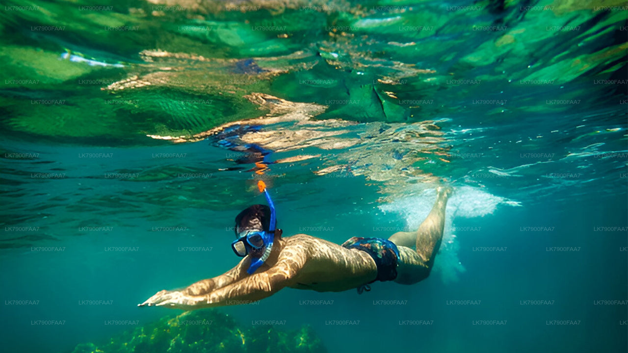 3-Hour Private Sunset Cruise from Pasikuda