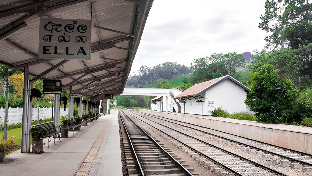 Train station platform with 'Ella' sign, tracks, and surrounding greenery.