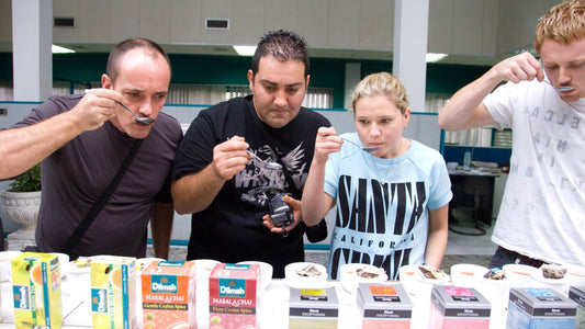 Ceylon tesmagning fra Colombo