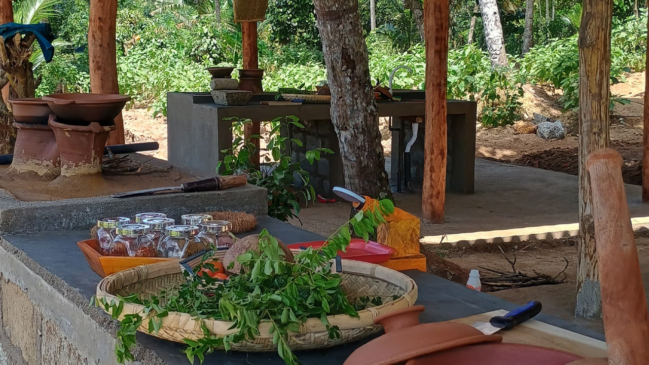 Oplev biodiversiteten på Midigama Fruit Farm