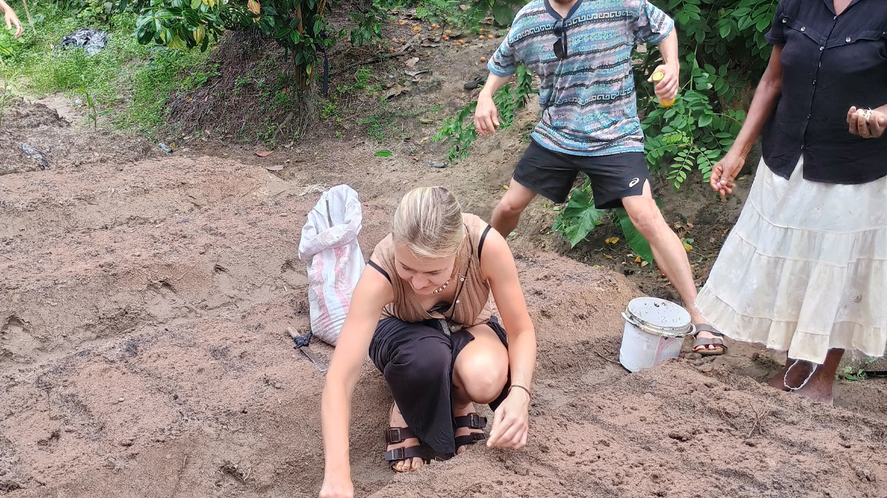 Oplev biodiversiteten på Midigama Fruit Farm
