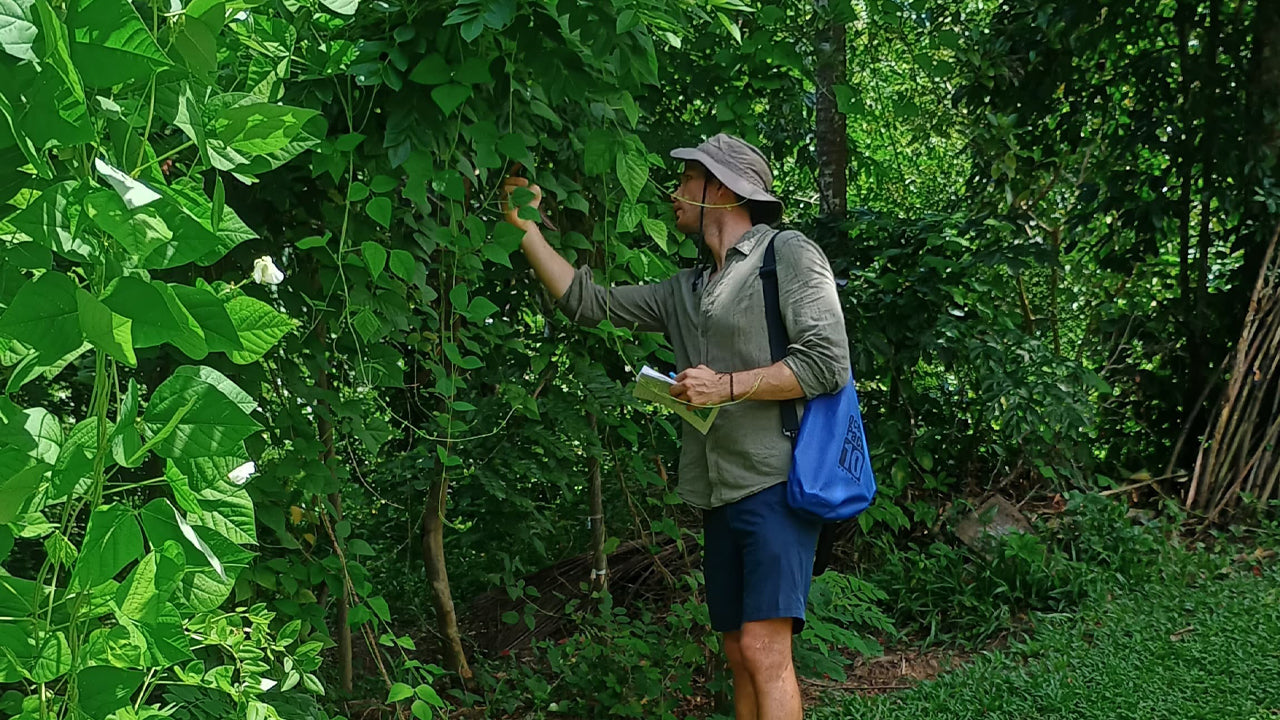 Oplev biodiversiteten på Midigama Fruit Farm