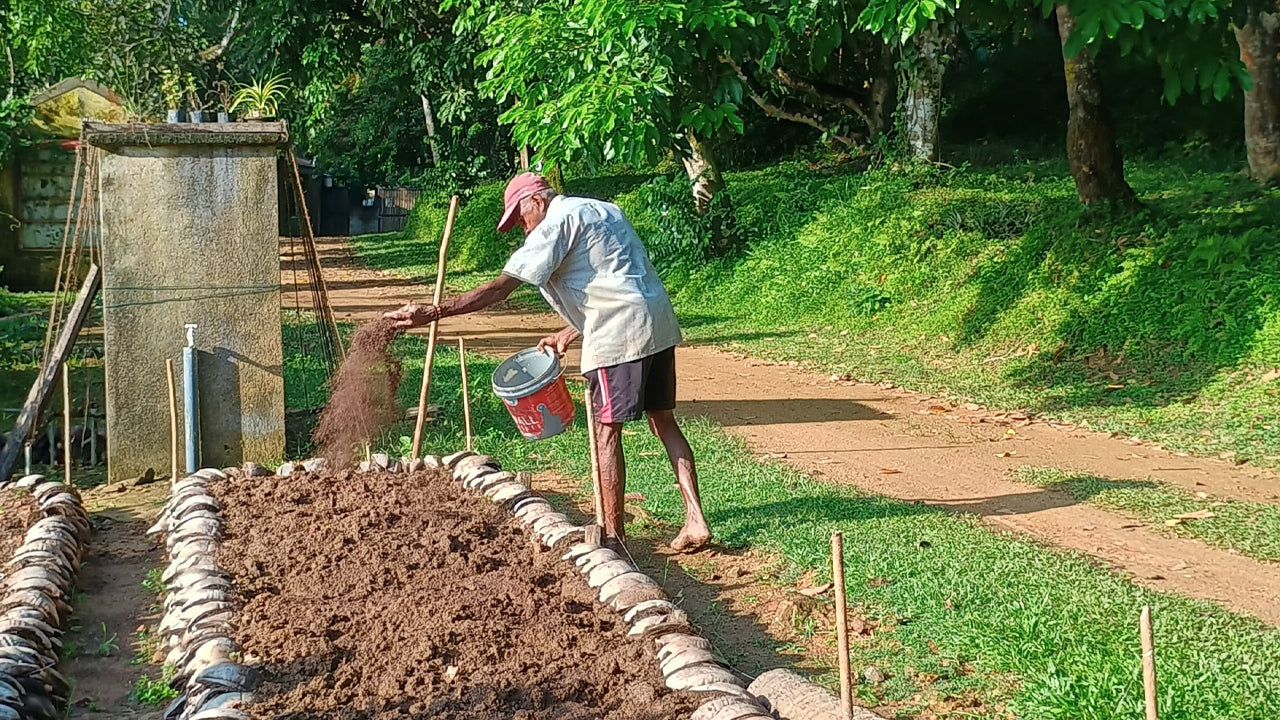 Oplev biodiversiteten på Midigama Fruit Farm