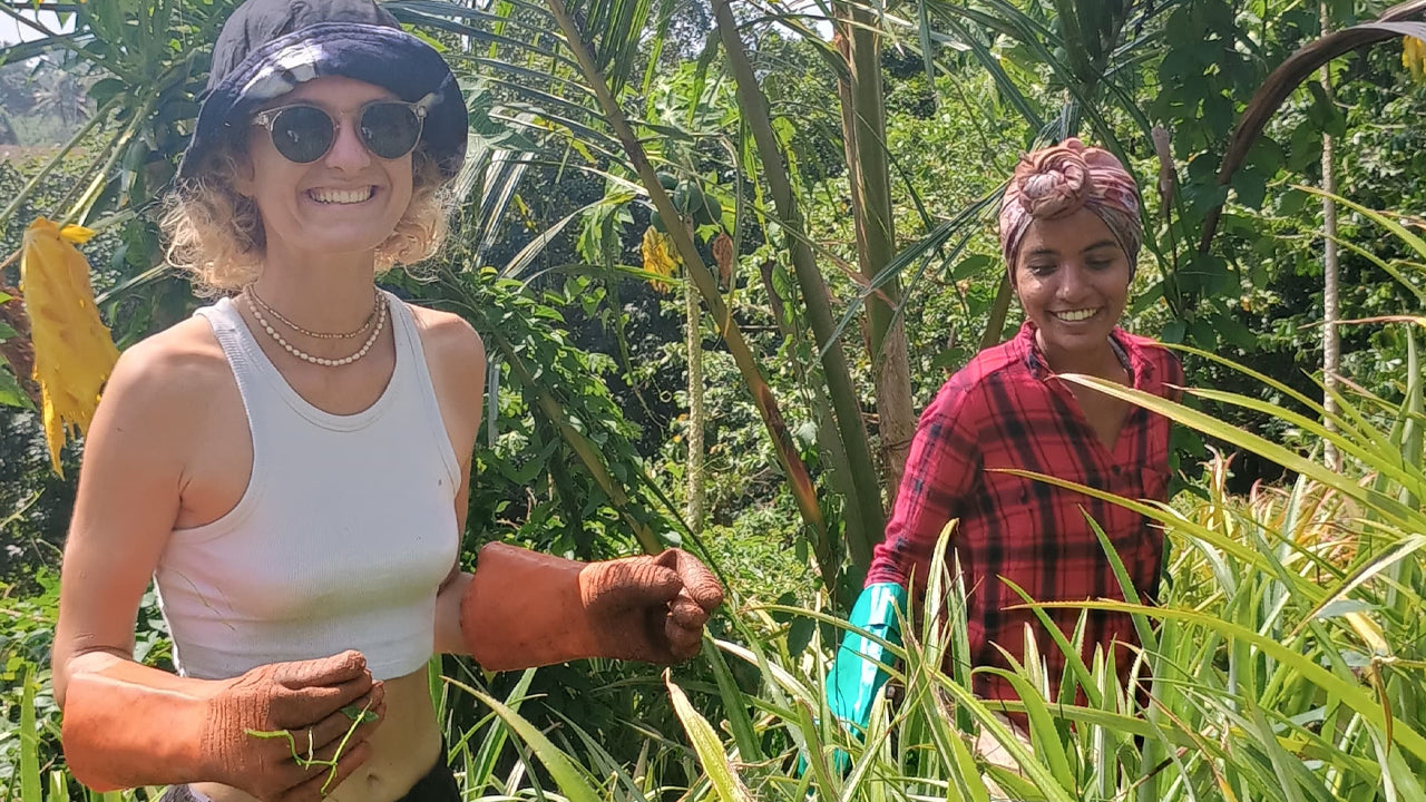 Oplev biodiversiteten på Midigama Fruit Farm
