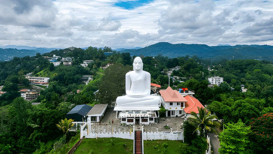 White Buddha statue on a hilltop with a scenic view of trees and buildings below.